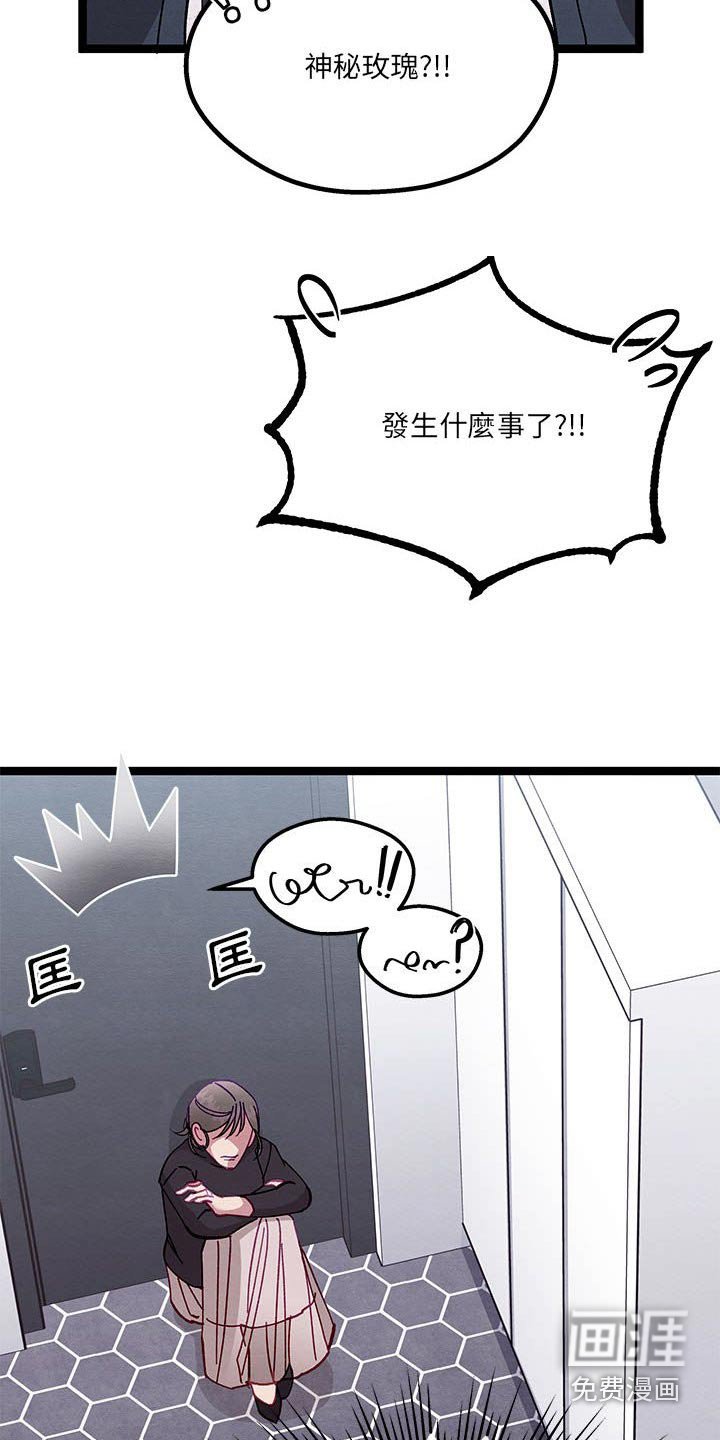 第33章：理解我