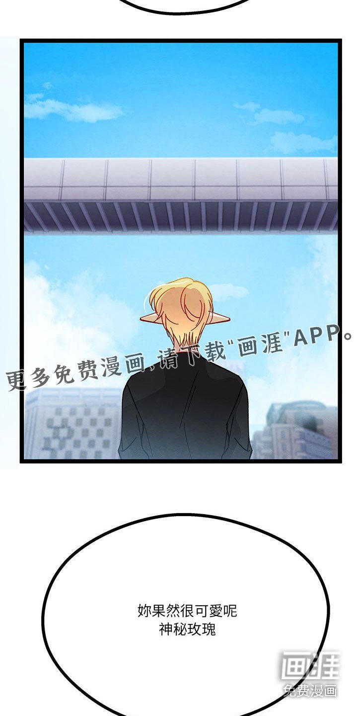 第36章：果然很可爱