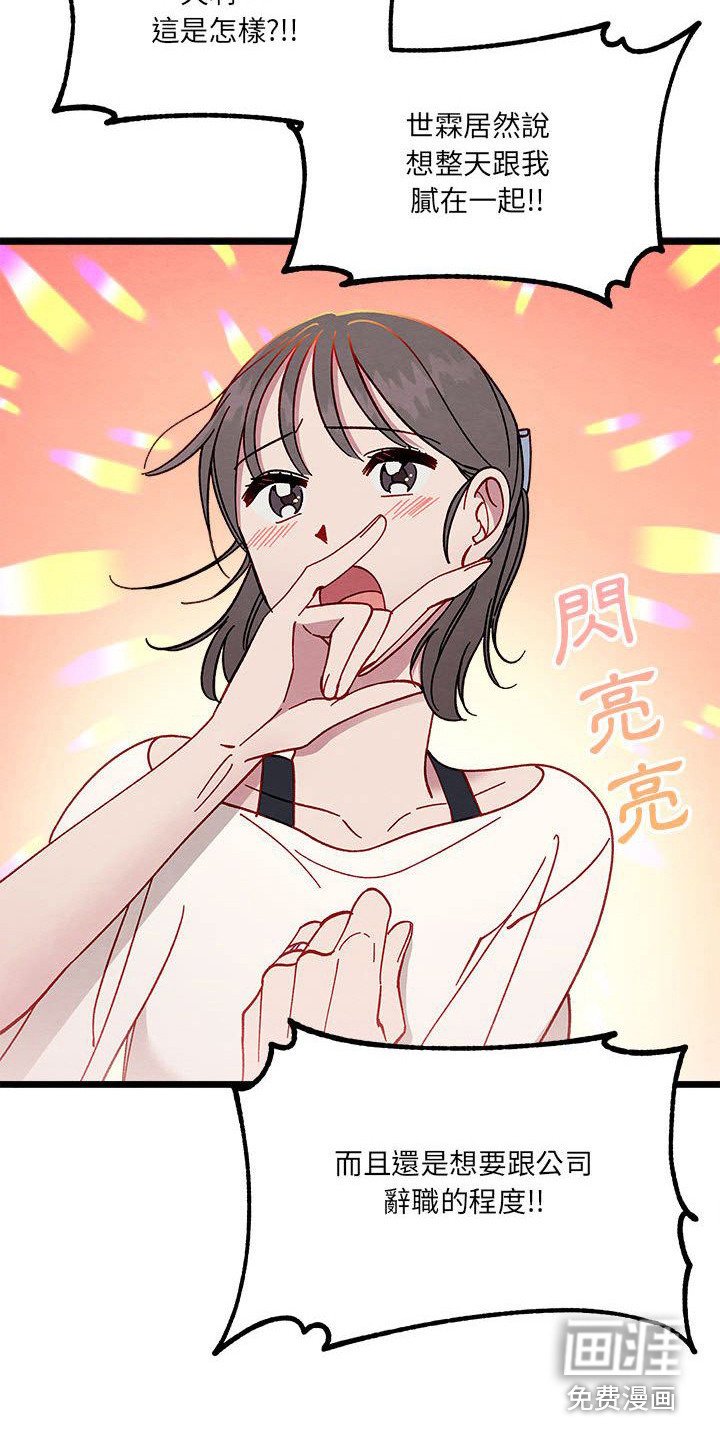 第7章：爱心便当