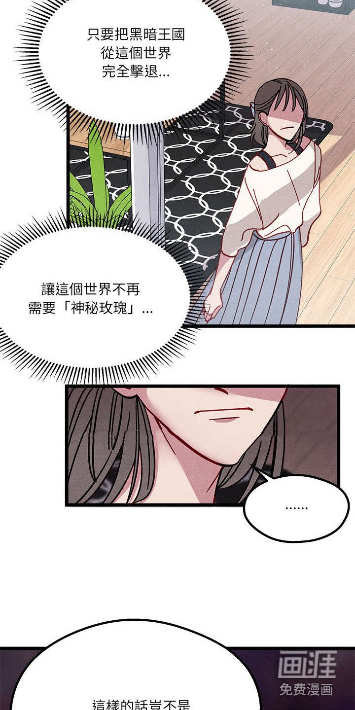 第7章：爱心便当