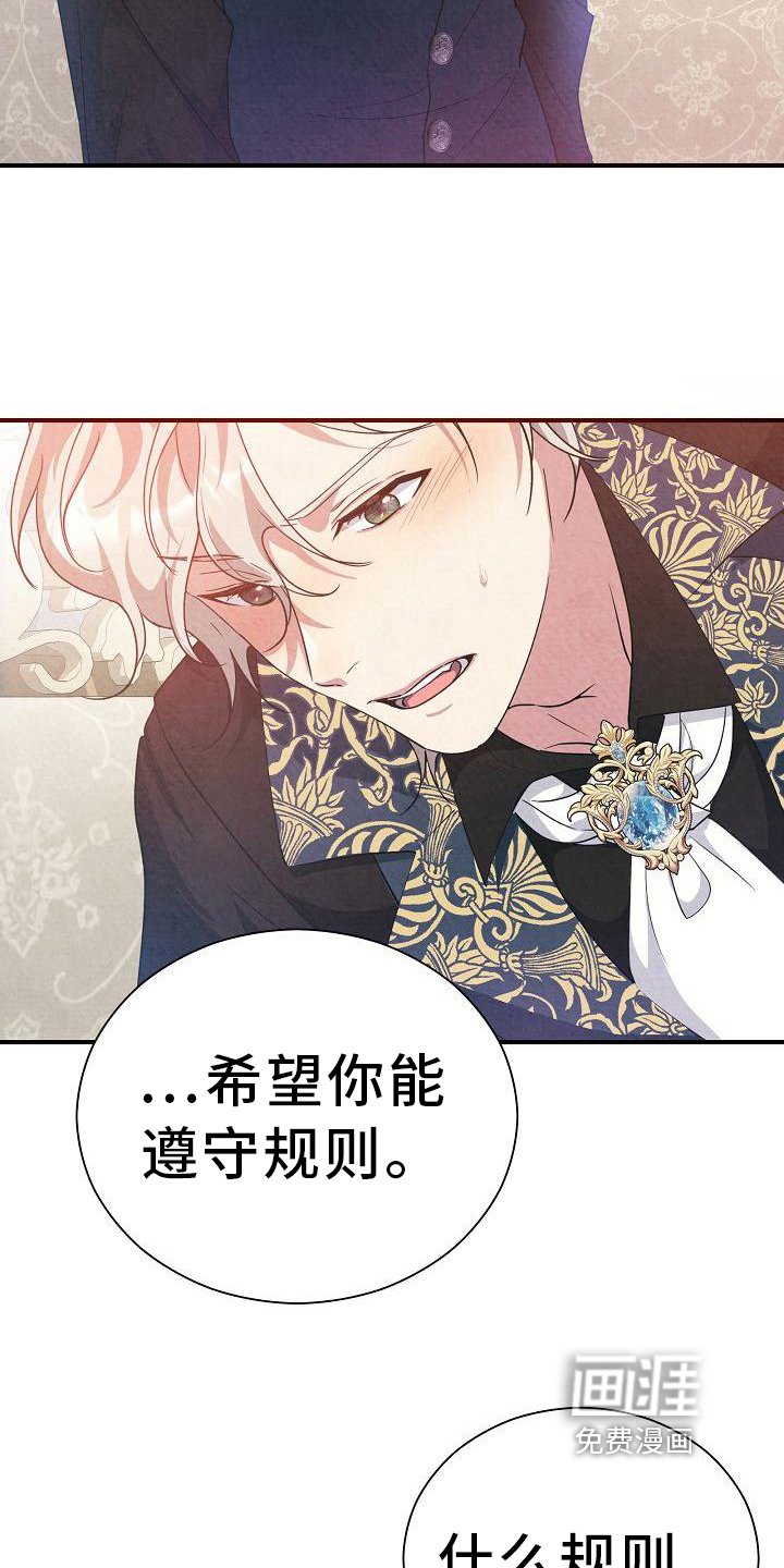 第17章：遵守规则