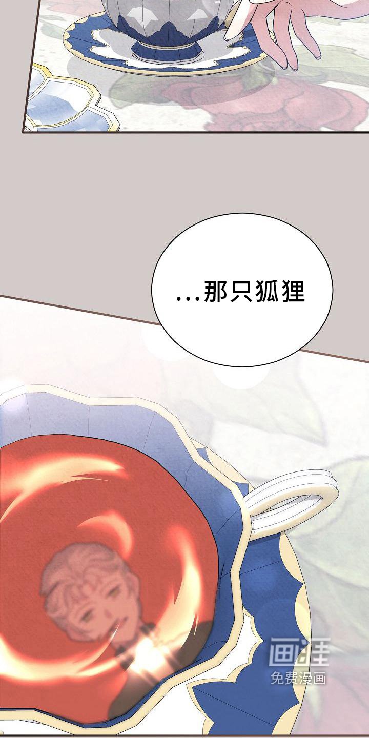第25章：考察