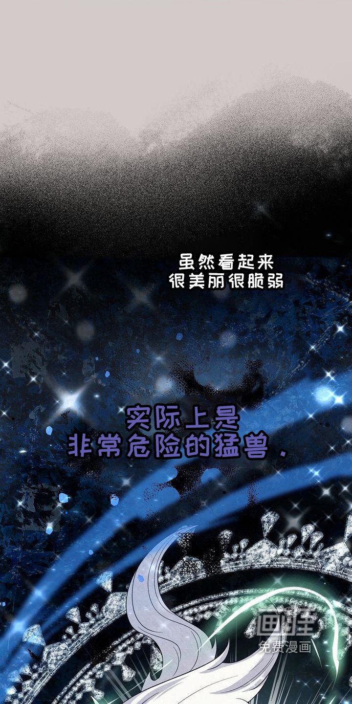 第25章：考察