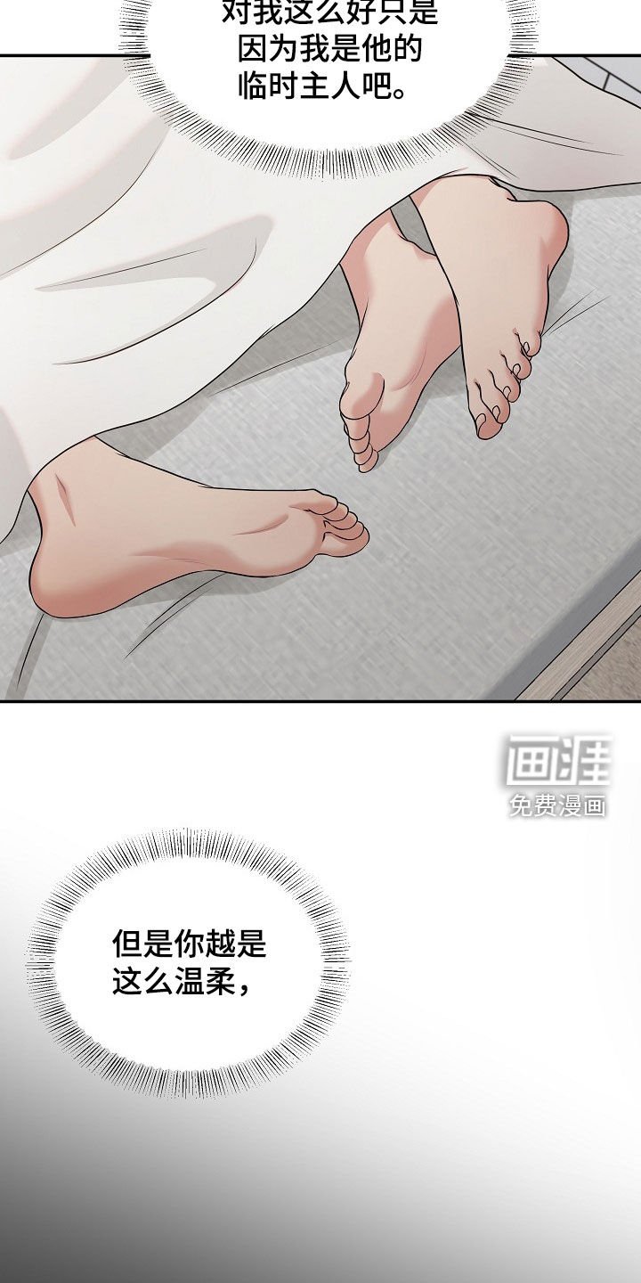 第20章：不会说谎