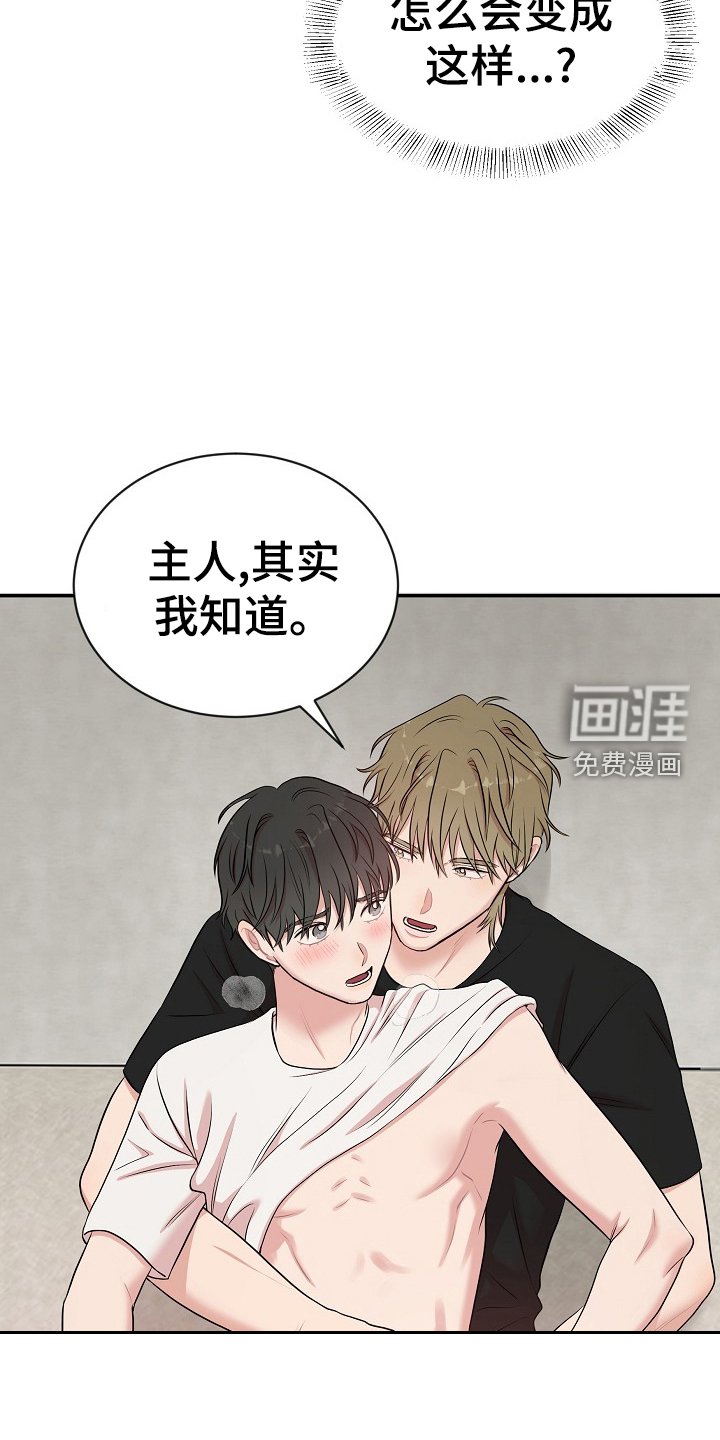 第28章：明白