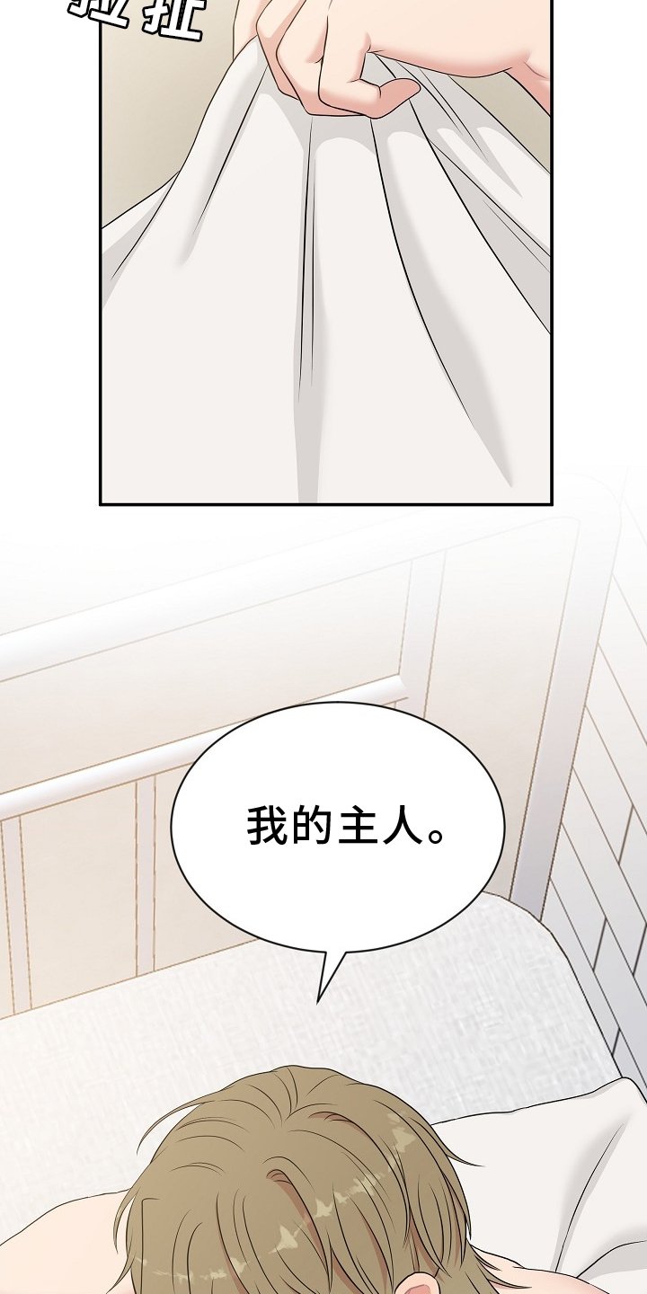 第29章：我的主人