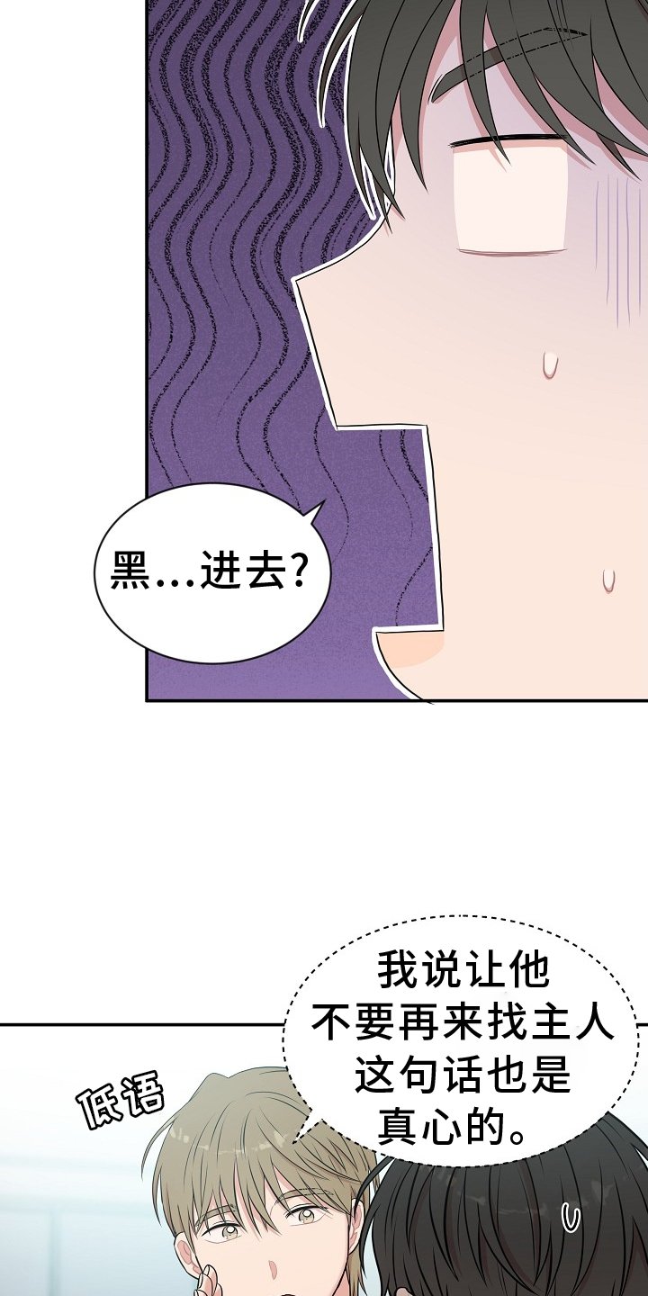 第35章：特别