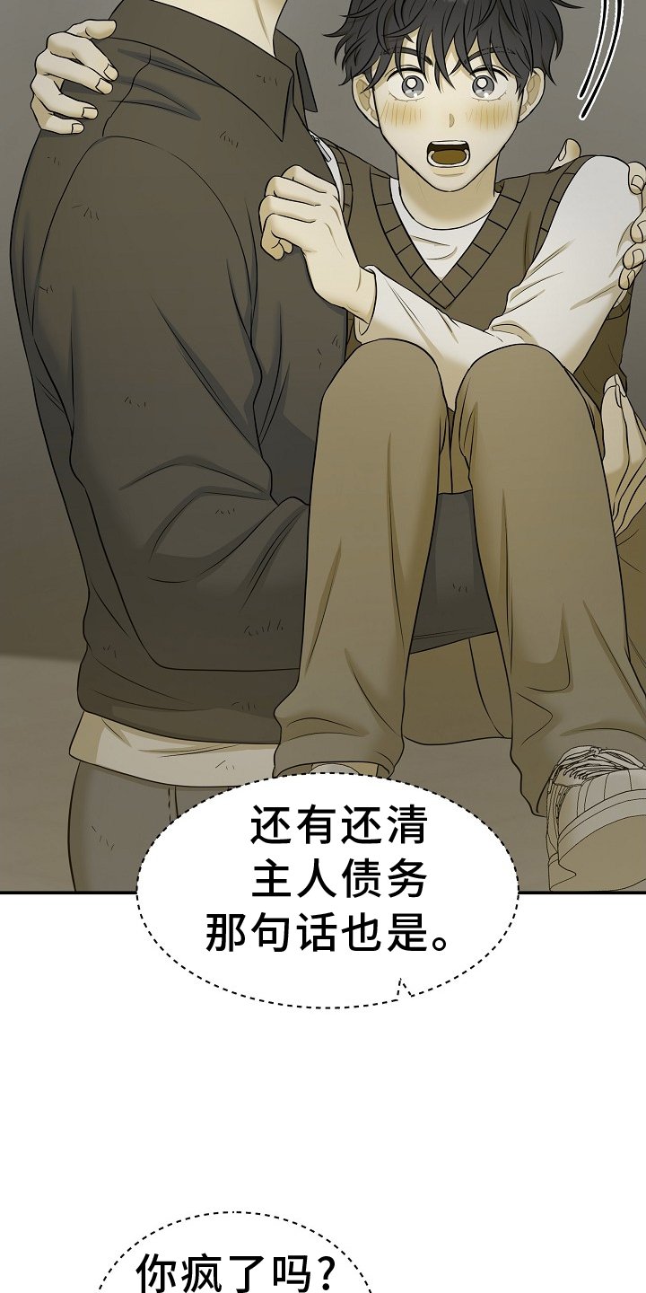 第35章：特别
