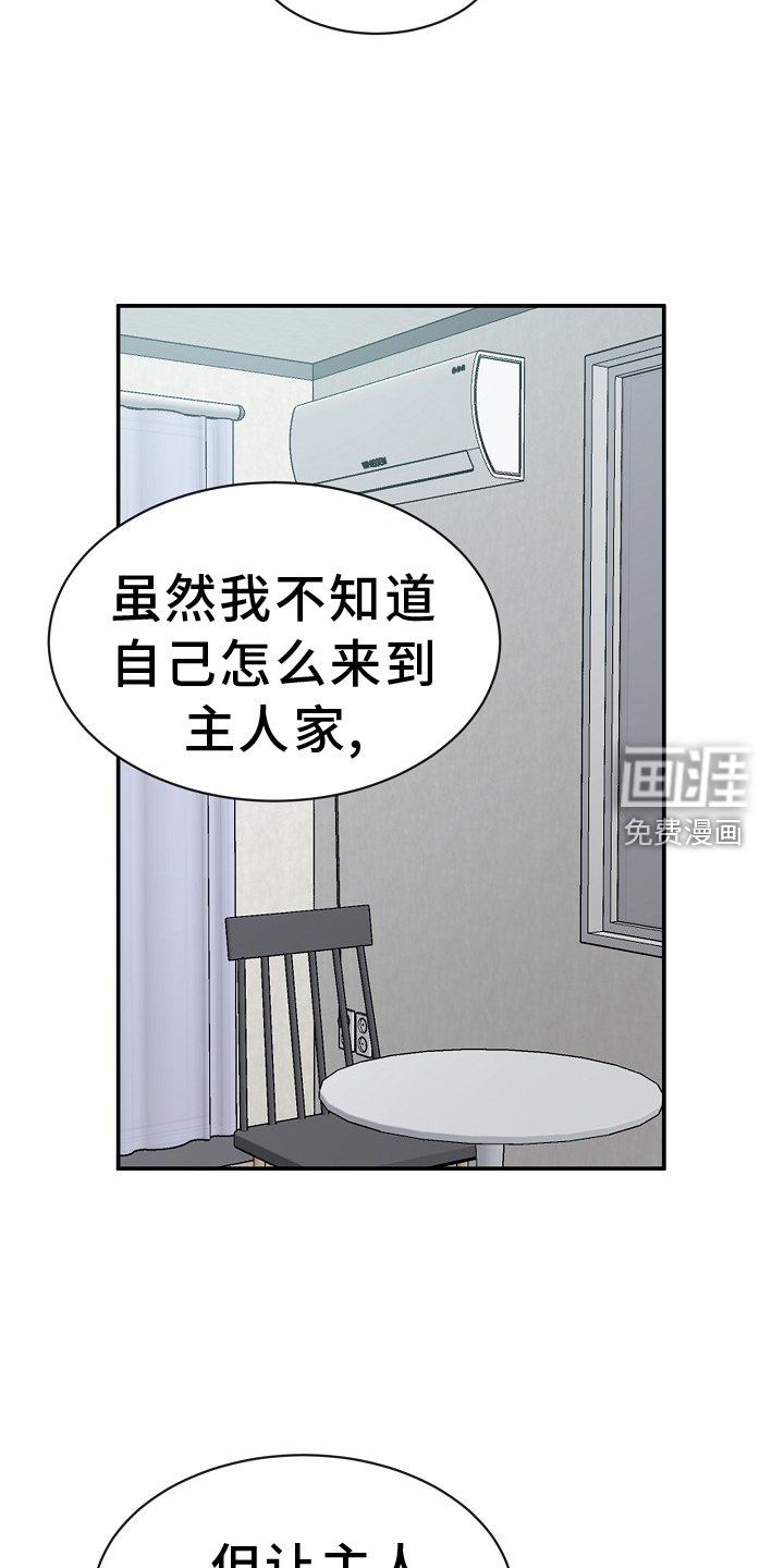 第35章：特别