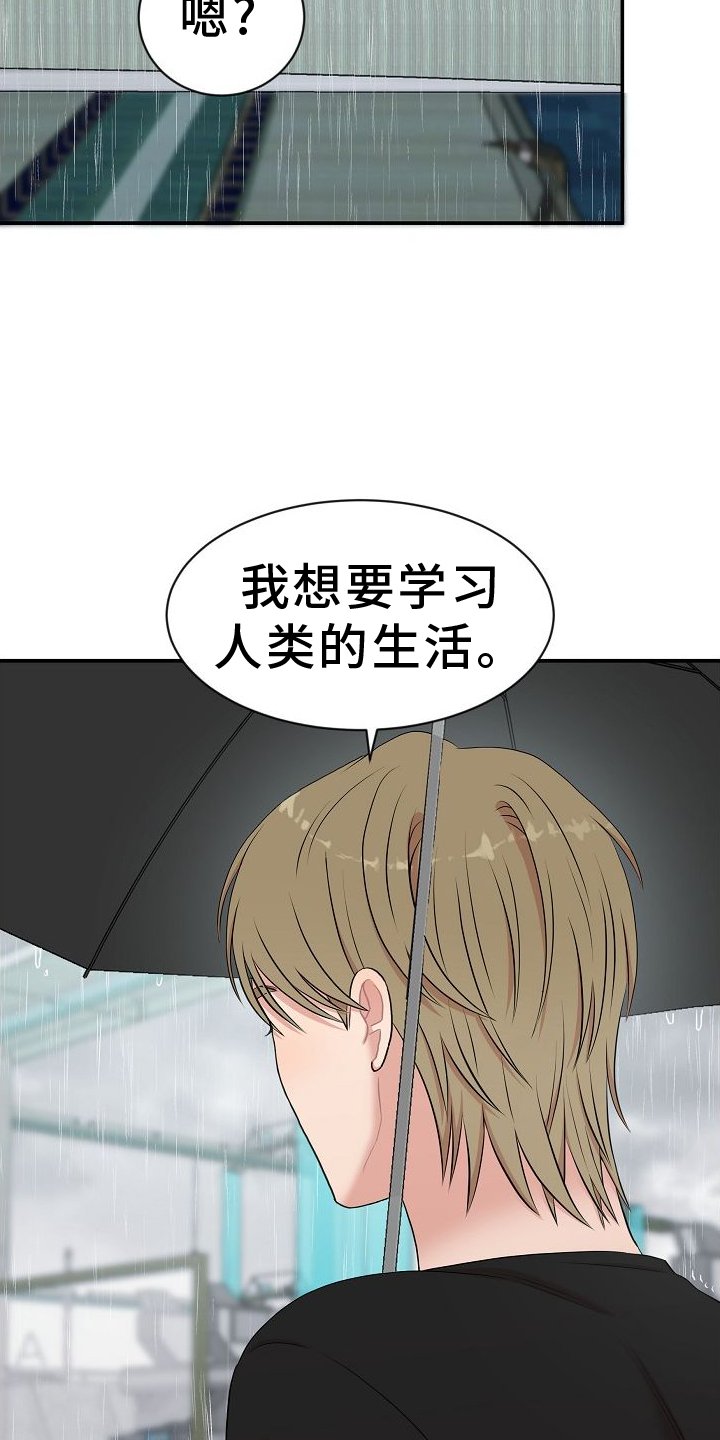 第37章：学习