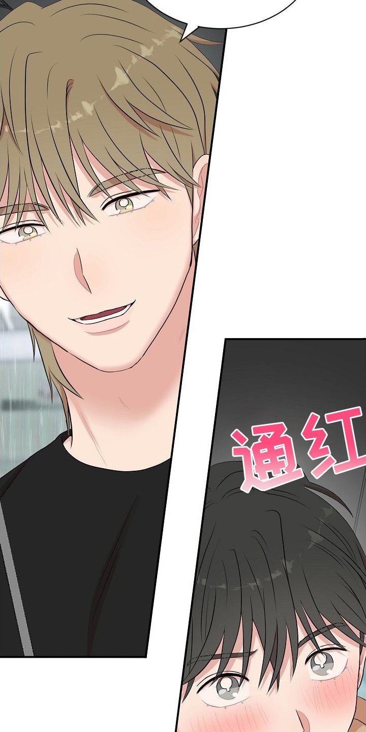 第38章：判断
