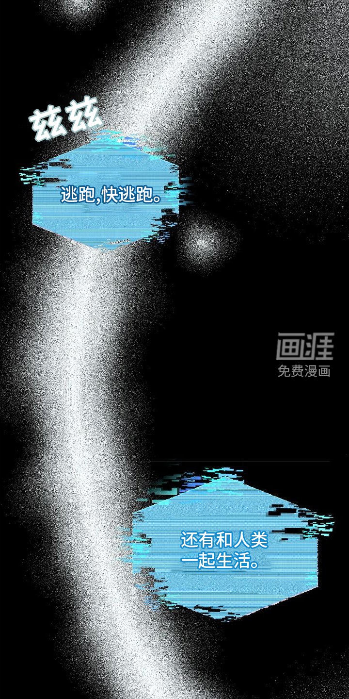 第40章：信息