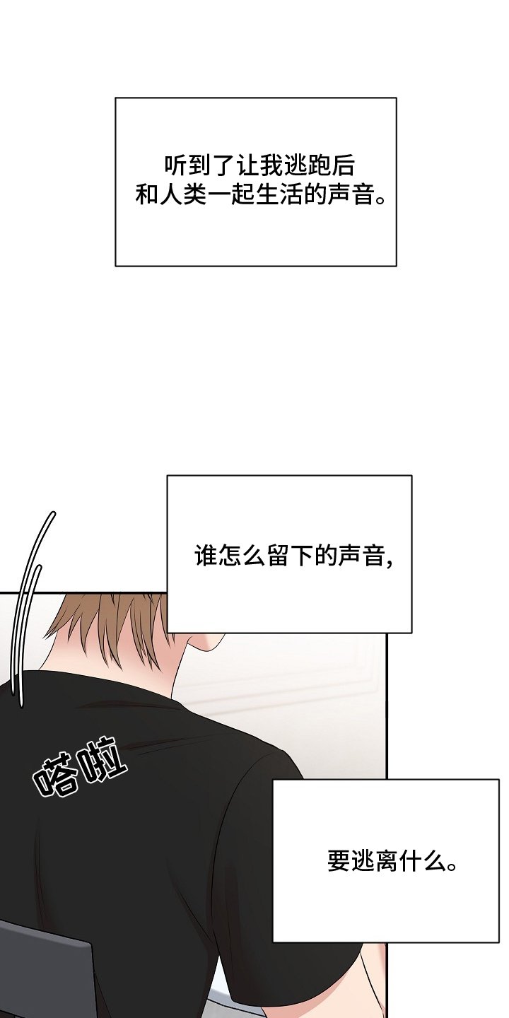 第41章：电影院