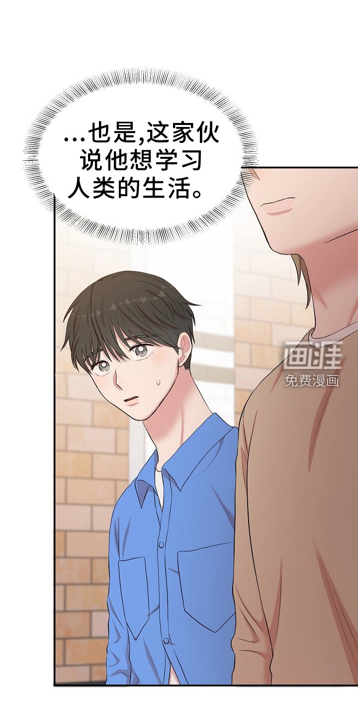 第43章：下次