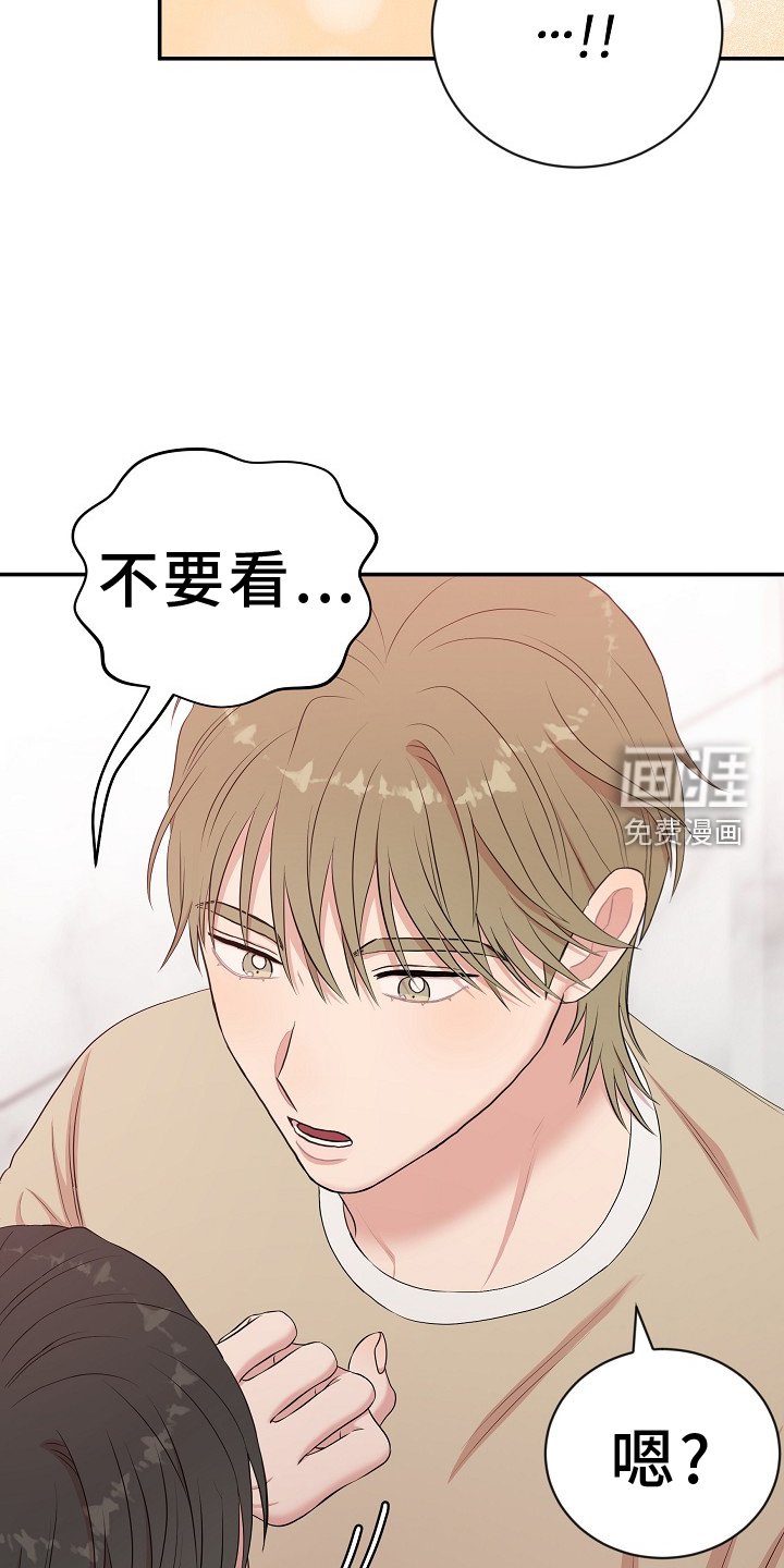 第44章：照片