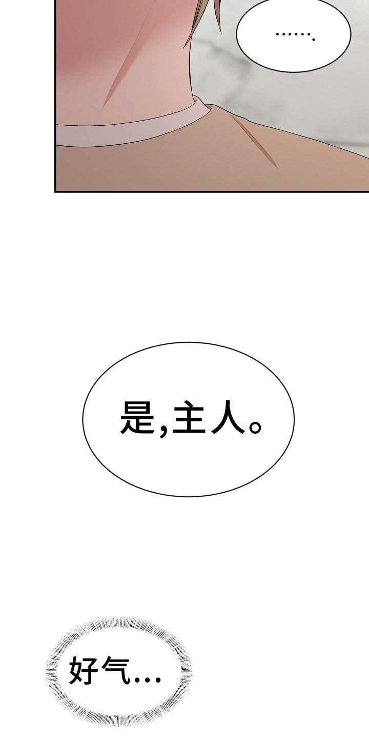 第44章：照片