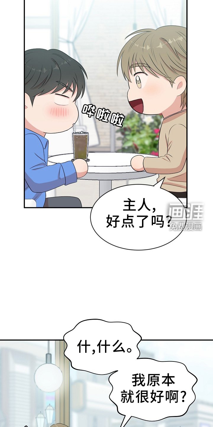 第44章：照片