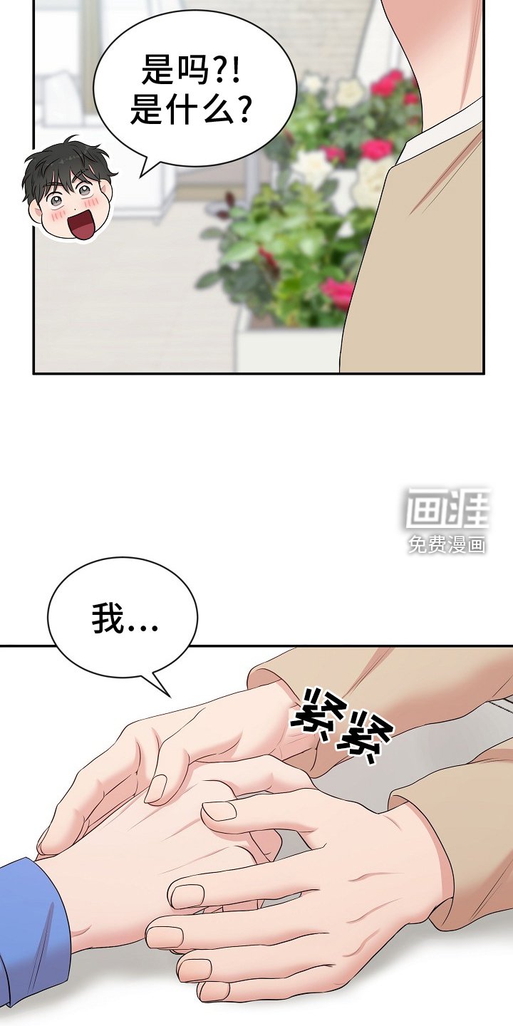 第44章：照片