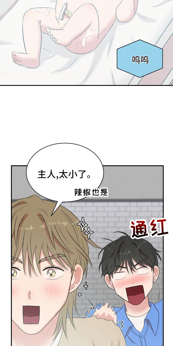 第45章：回忆