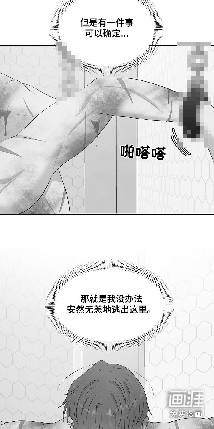 第65章：遇见你