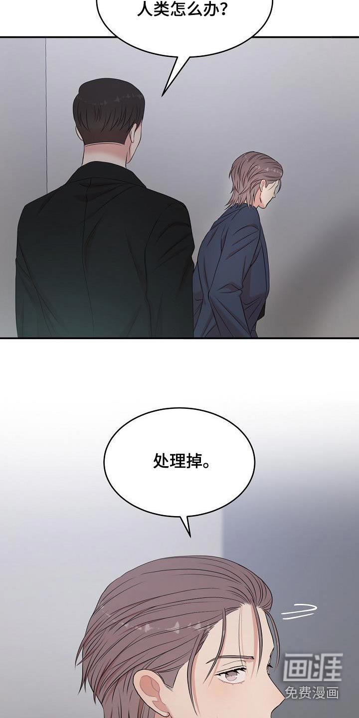 第73章：回来了