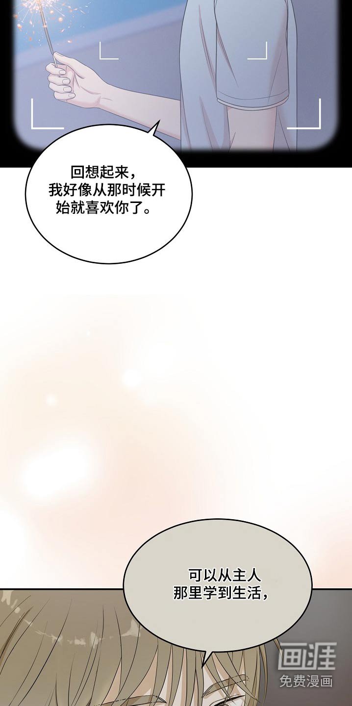 第98章：我很开心（完结）