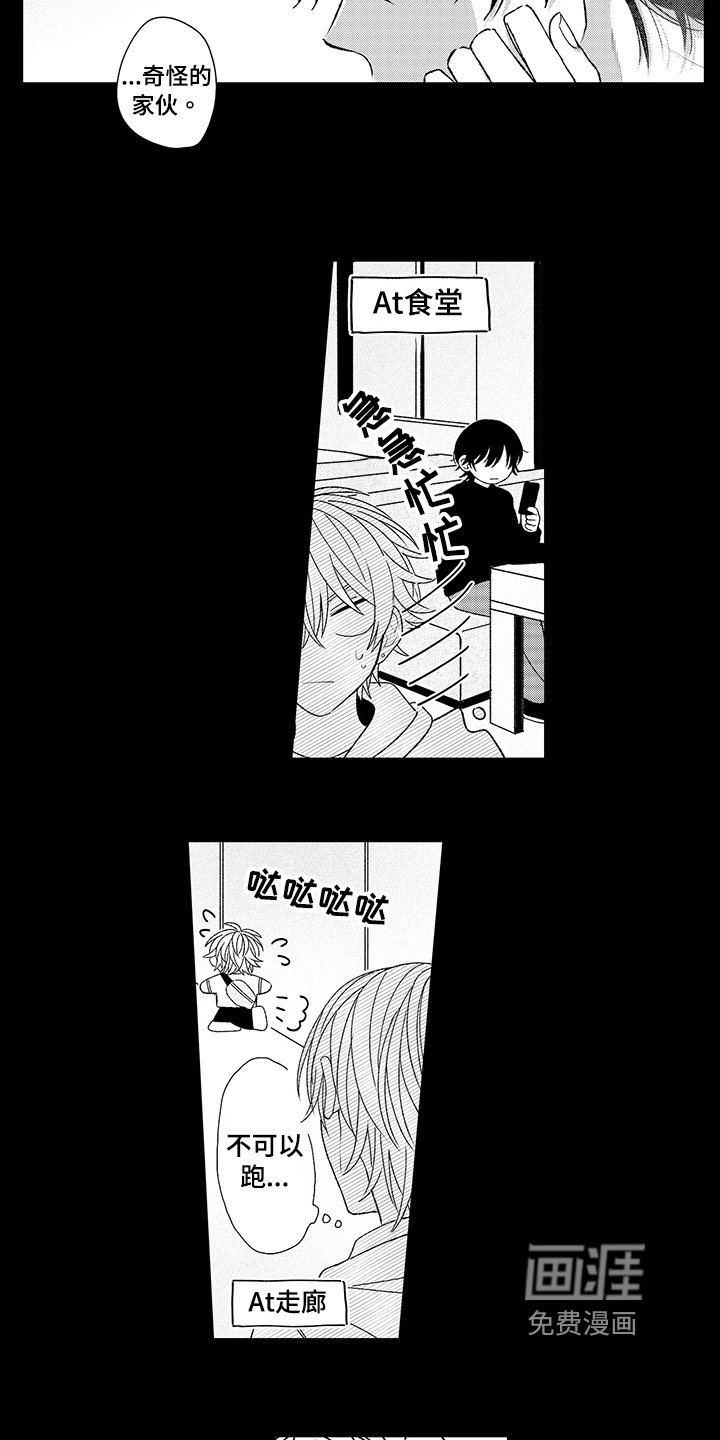 第18章：关注