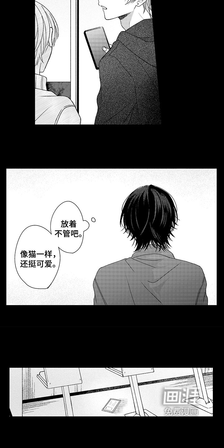 第18章：关注