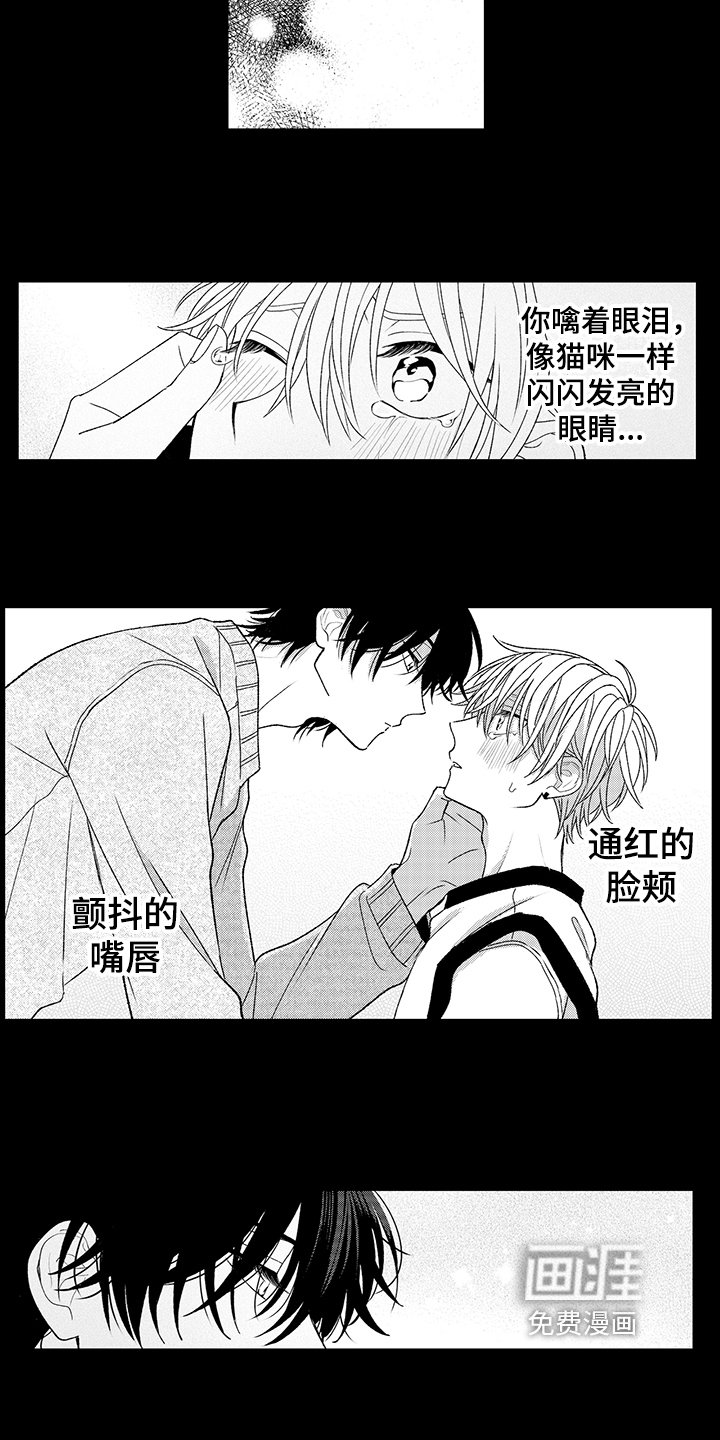 第19章：喜欢【完结】