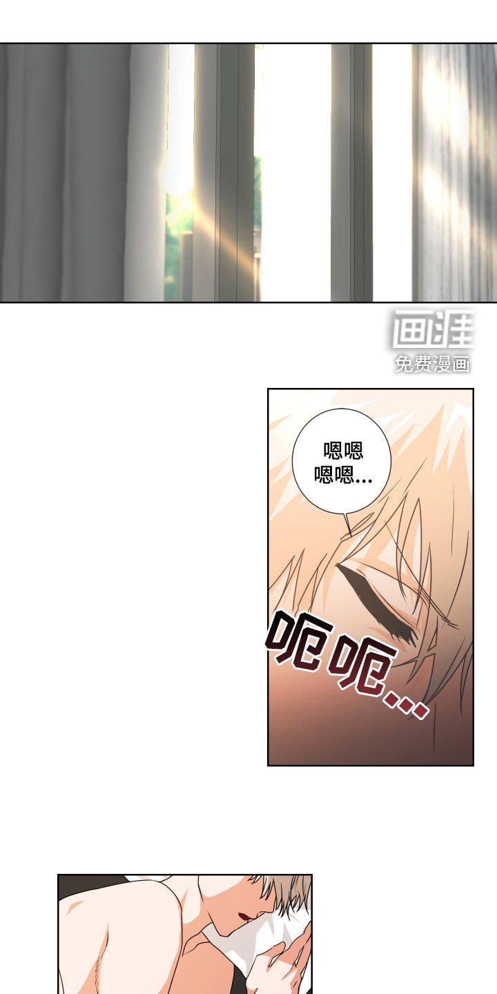第20章：特别主动