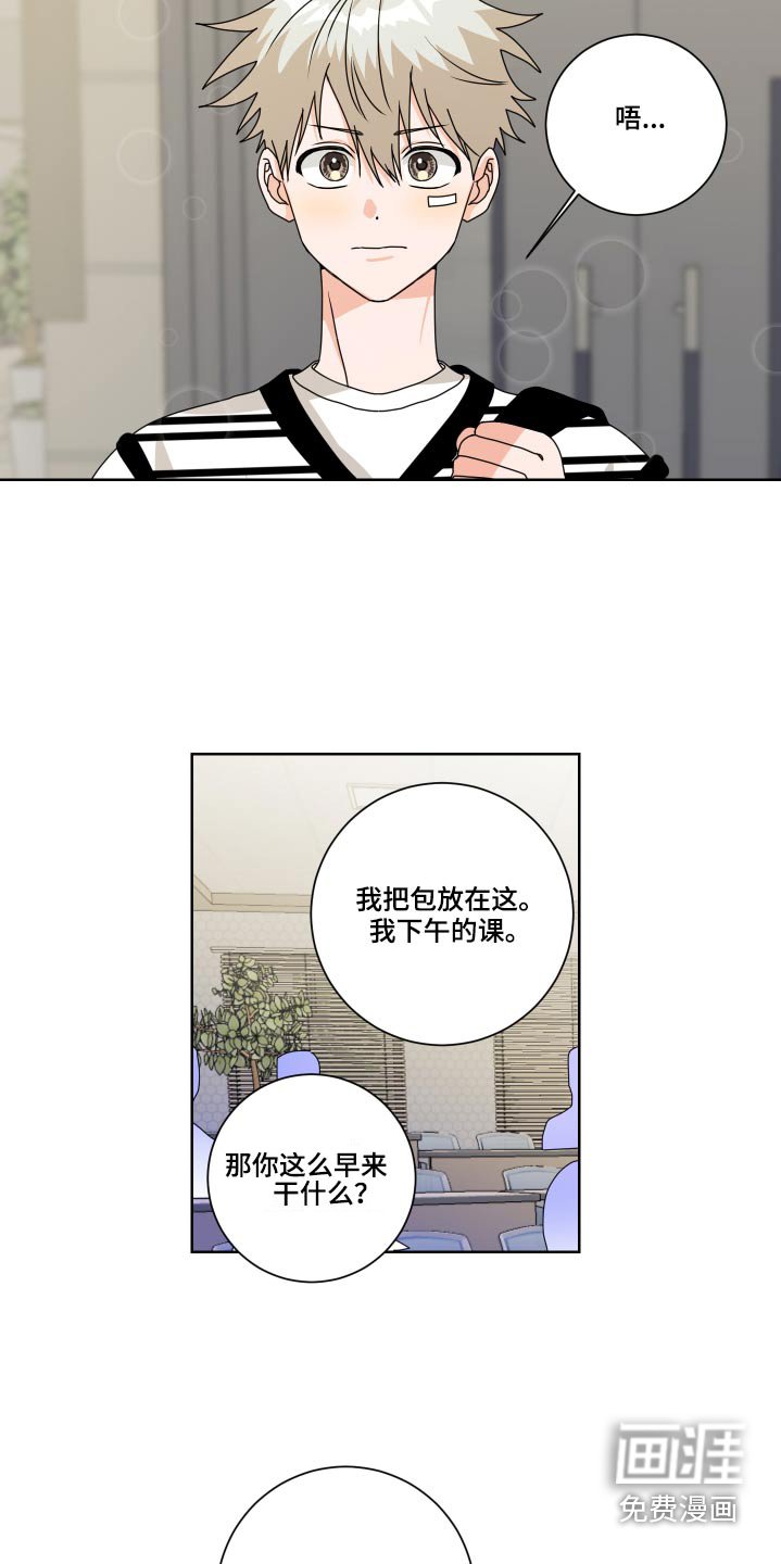 第33章：理解