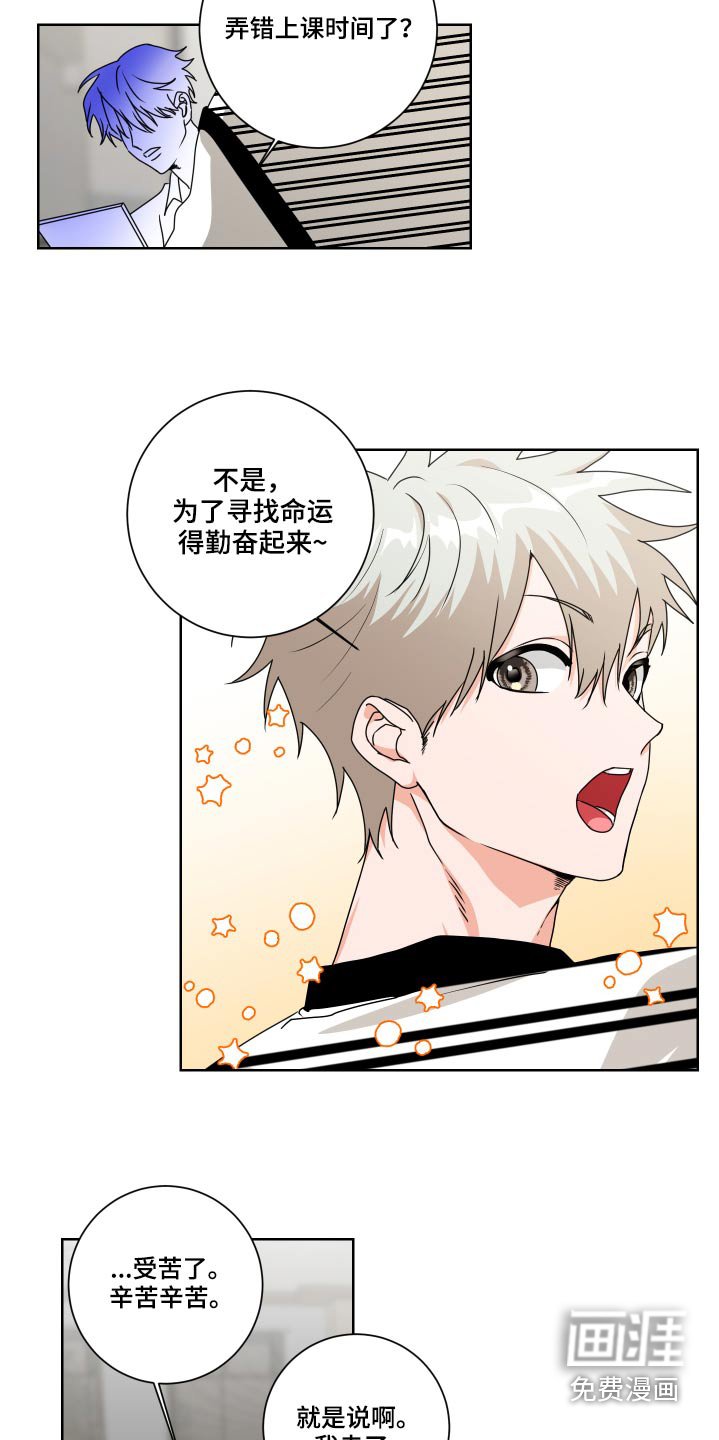 第33章：理解