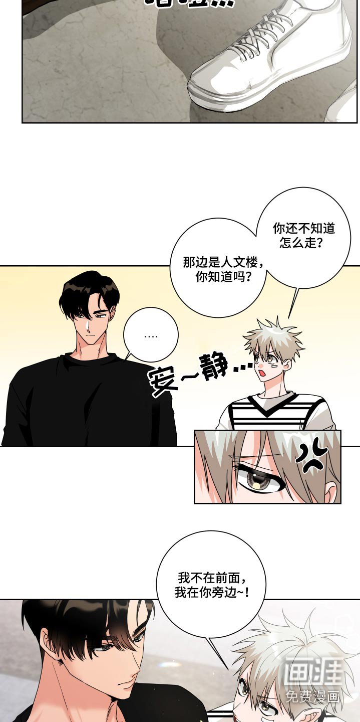 第33章：理解