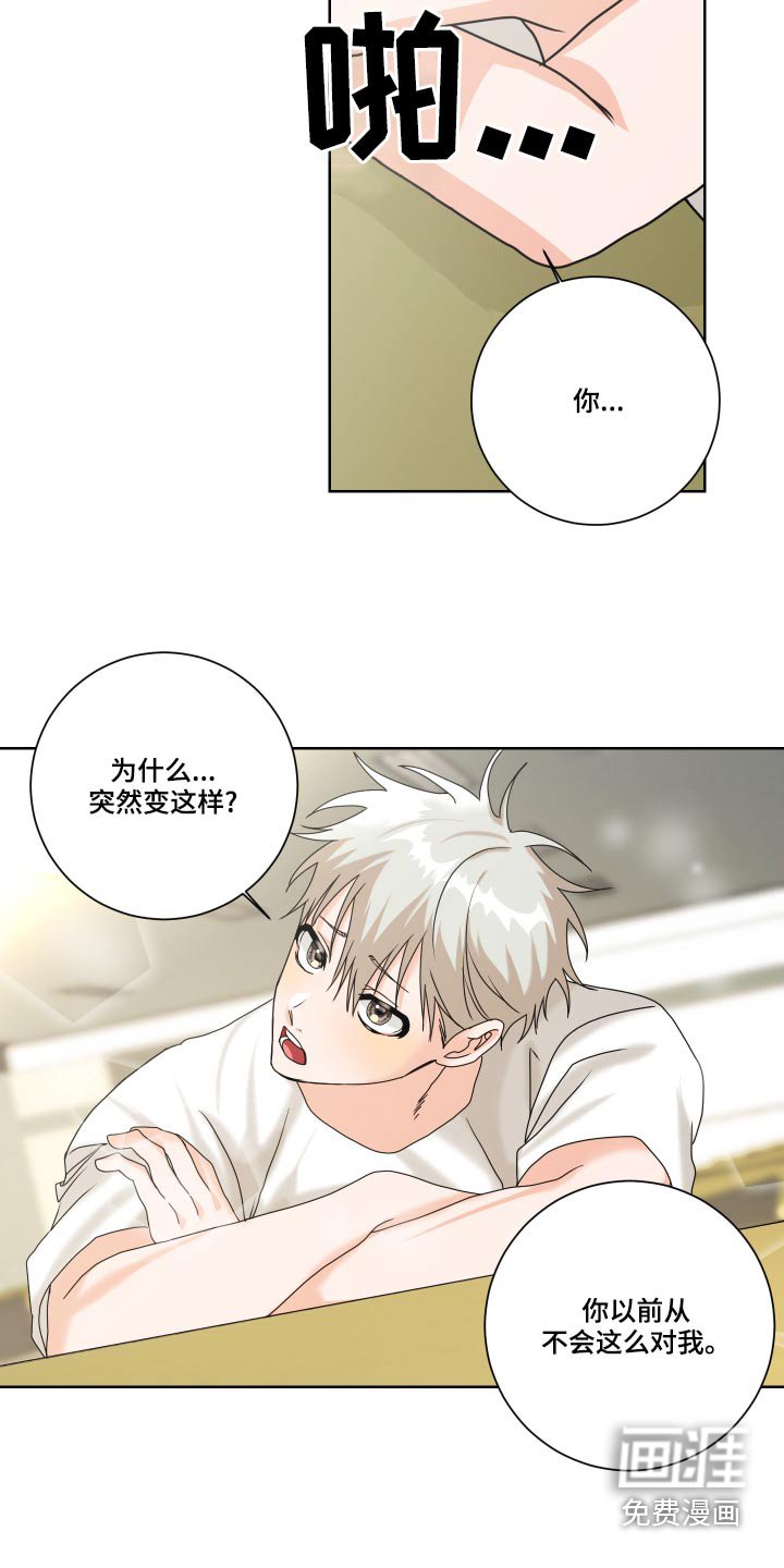 第38章：为什么