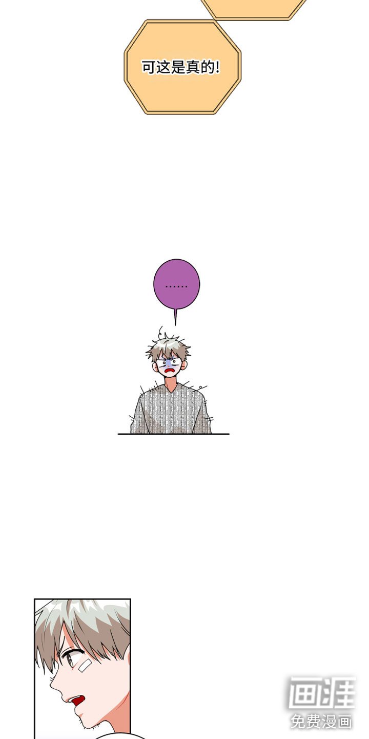 第4章：缘分