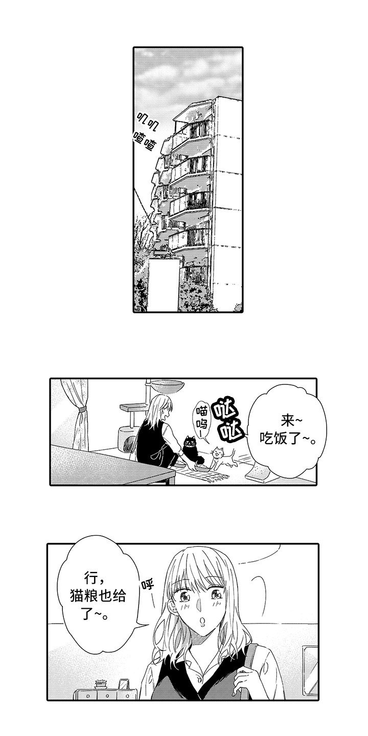第1章：两只小猫