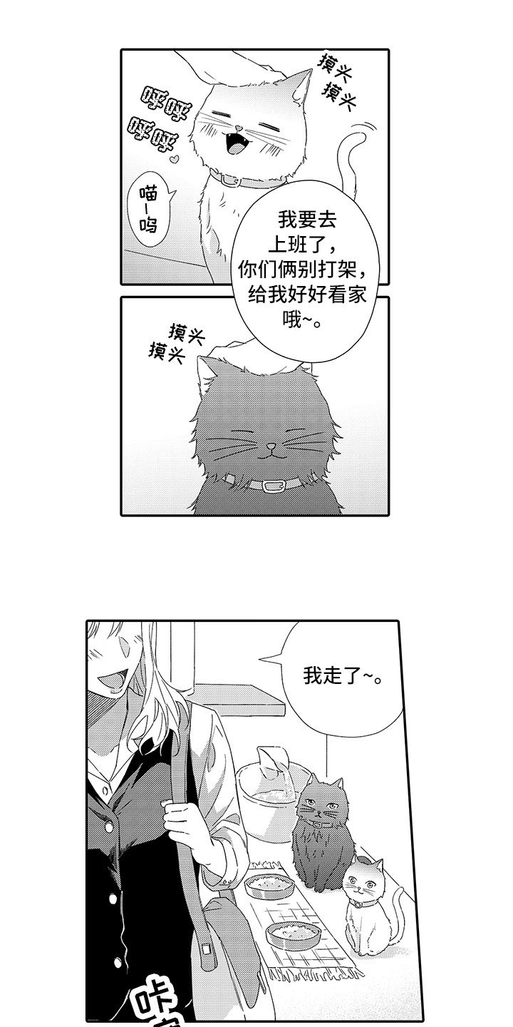 第1章：两只小猫