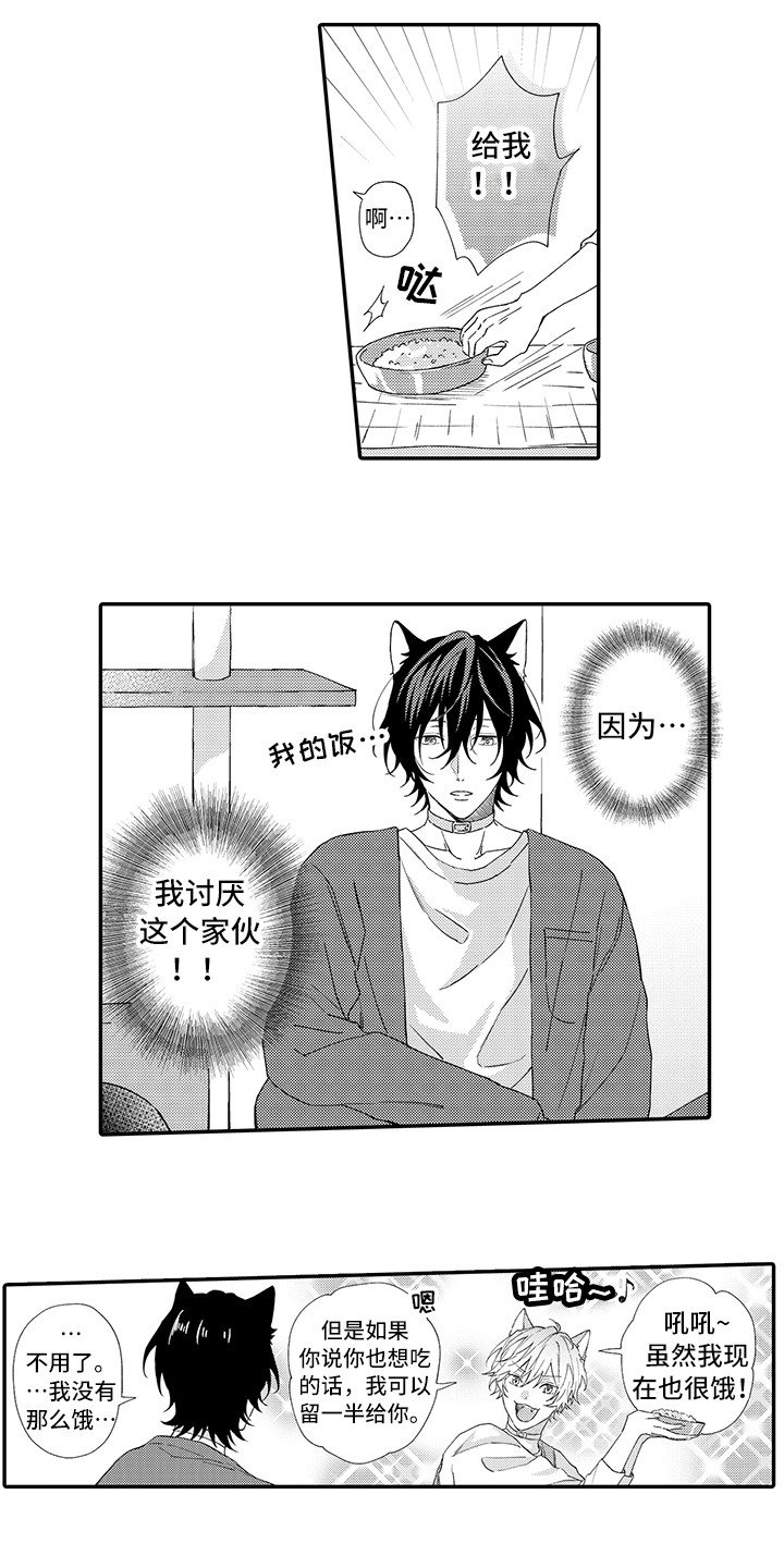 第1章：两只小猫