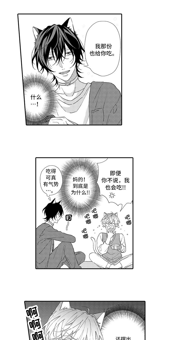 第1章：两只小猫