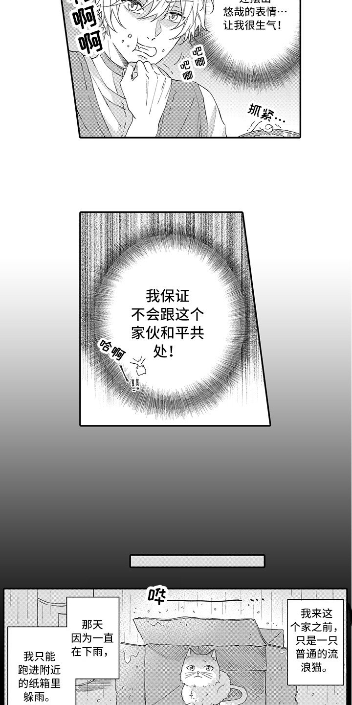 第1章：两只小猫