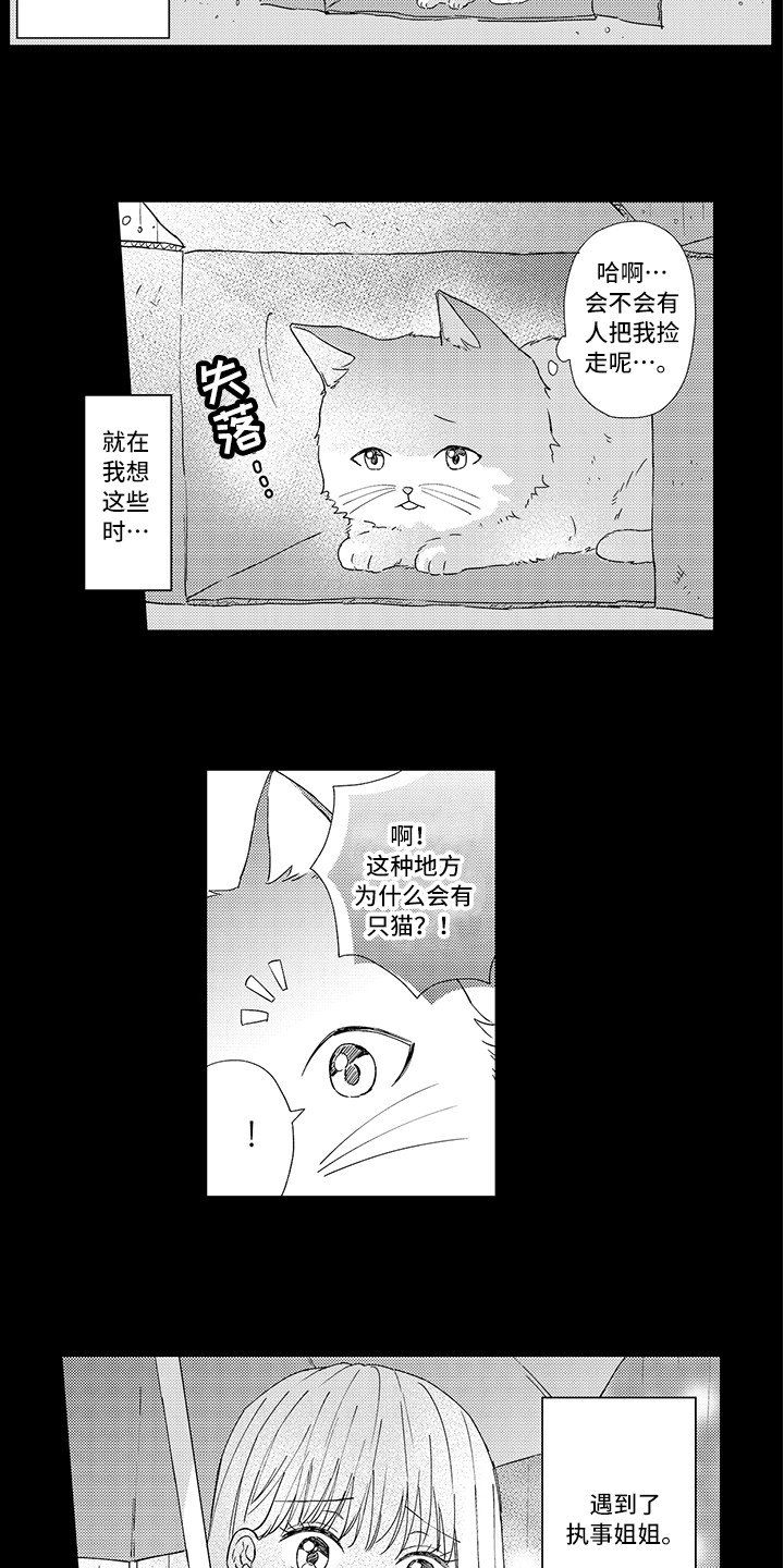 第1章：两只小猫