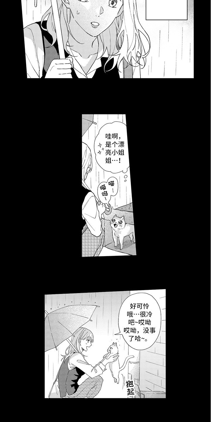 第1章：两只小猫