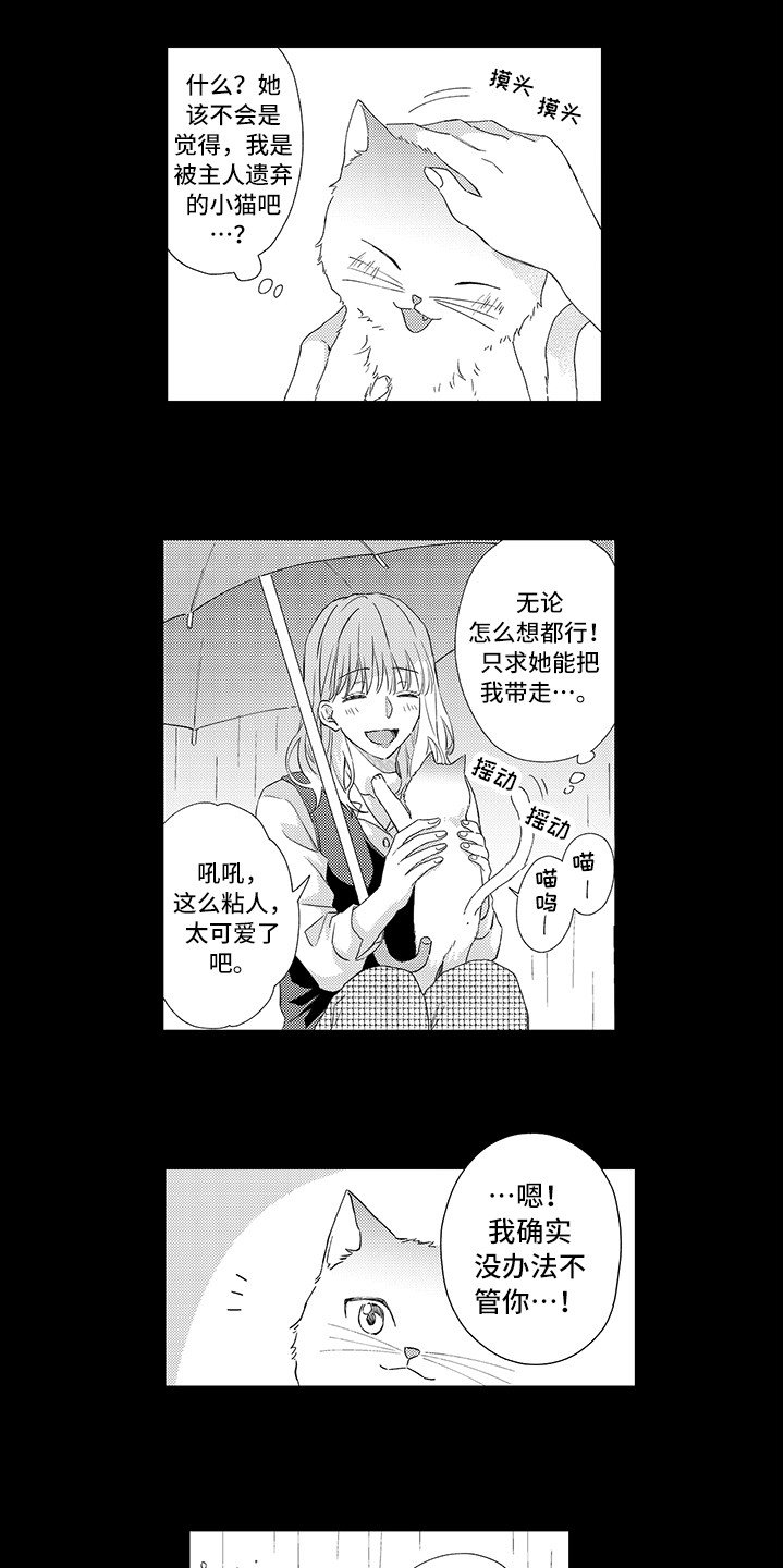 第1章：两只小猫