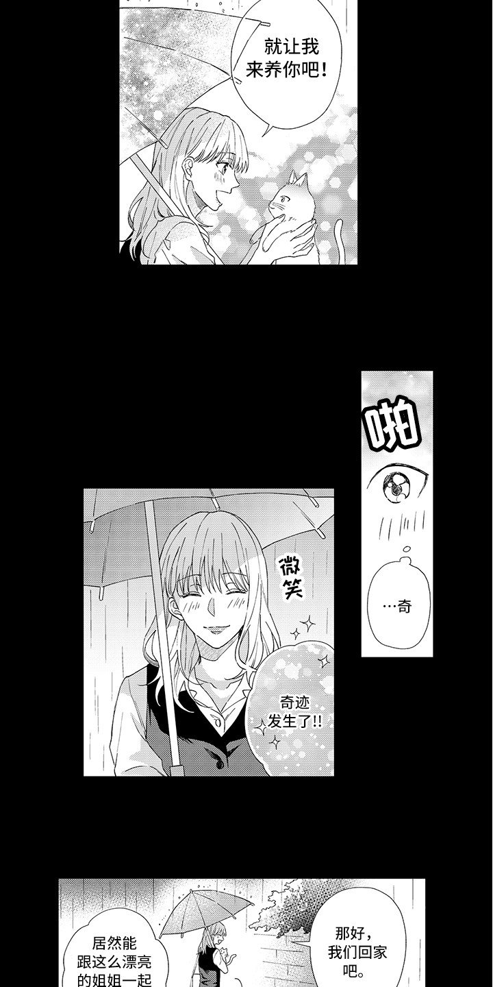 第1章：两只小猫