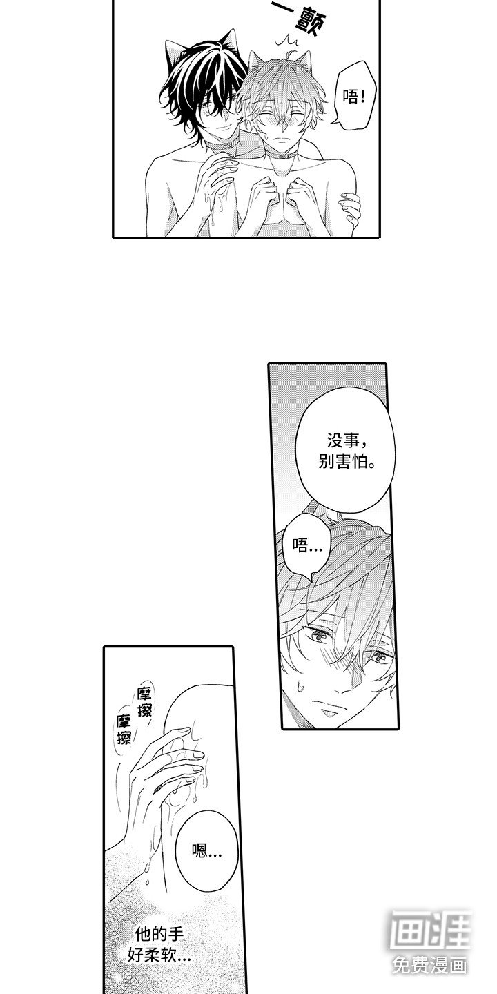 第11章：洗一洗