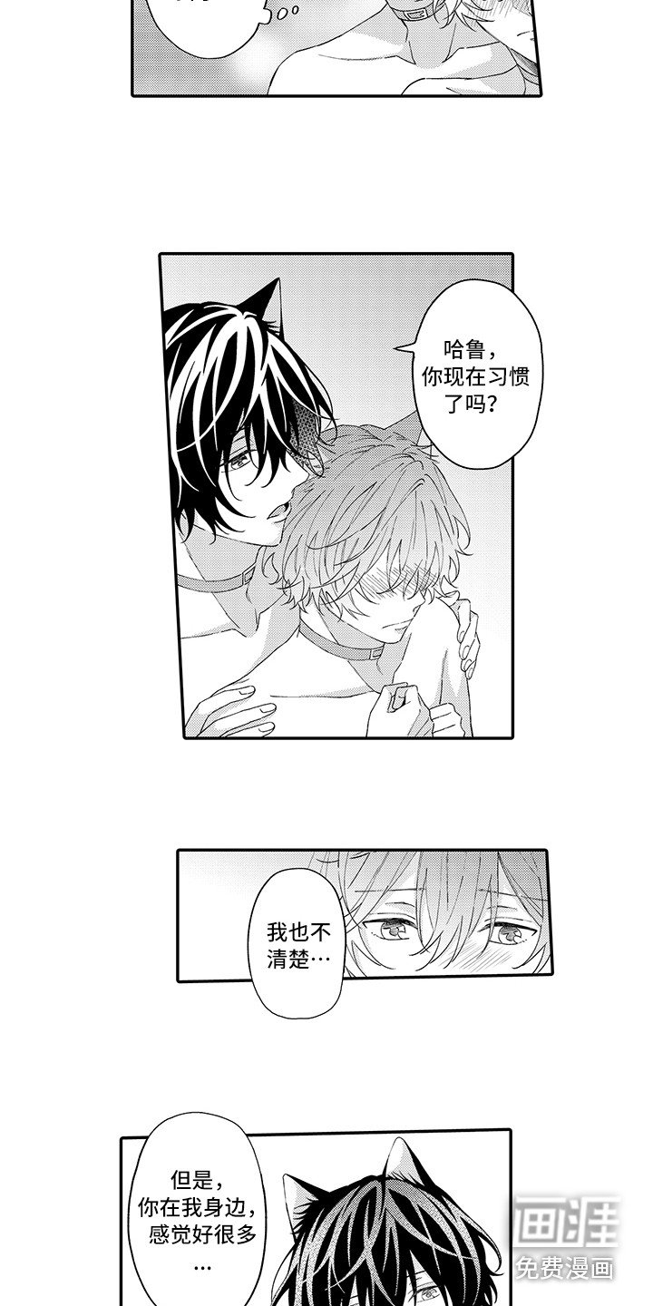 第11章：洗一洗