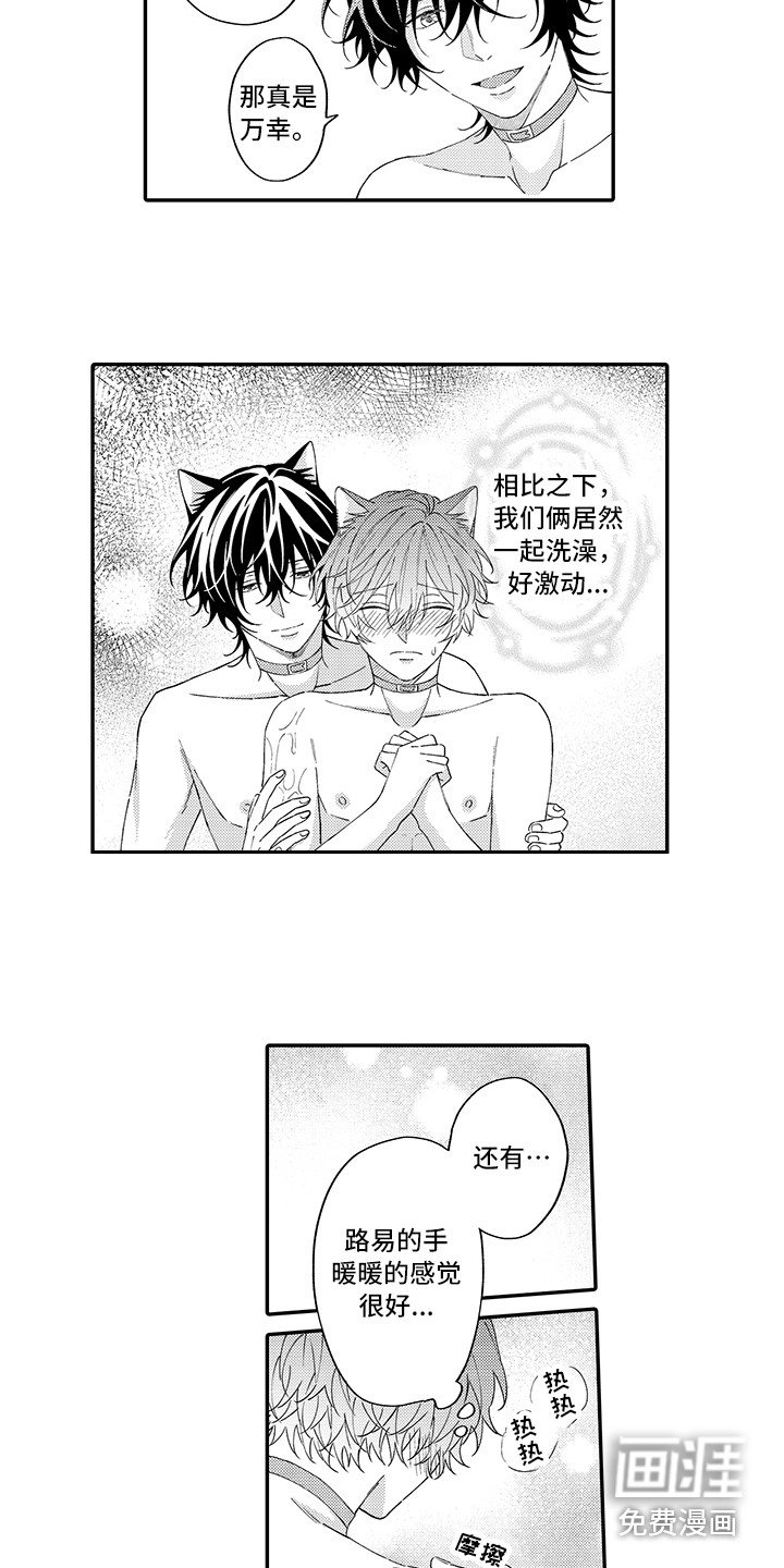 第11章：洗一洗