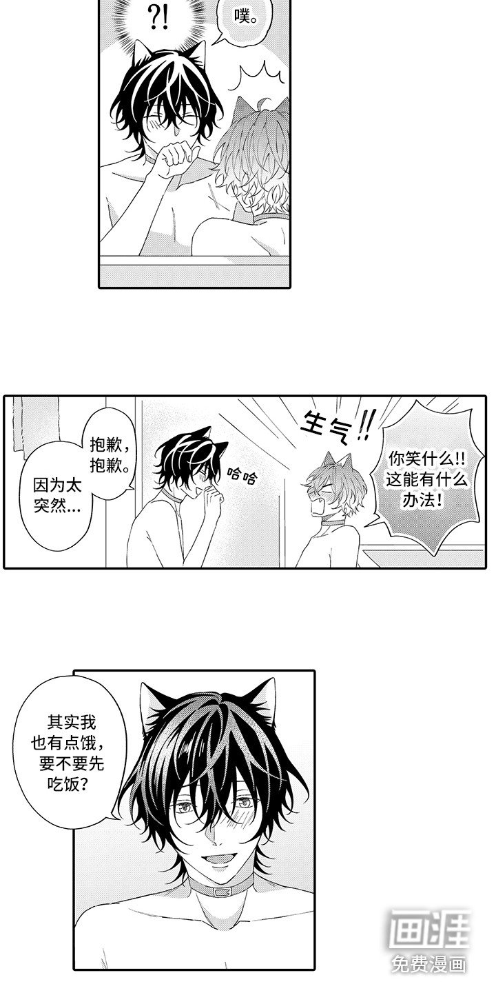 第11章：洗一洗