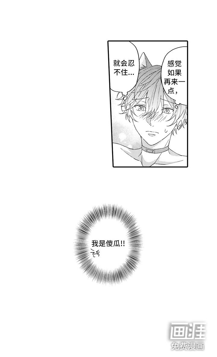 第11章：洗一洗