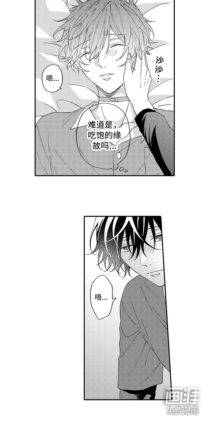 第12章：睡着了